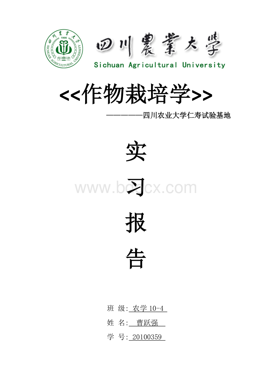 作物栽培学实习报告Word格式文档下载.docx