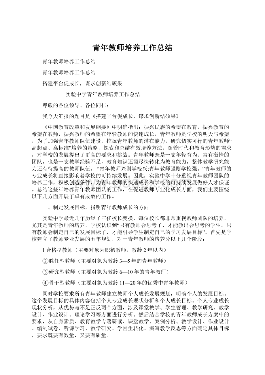 青年教师培养工作总结Word格式.docx