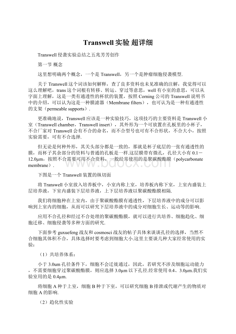 Transwell实验 超详细Word文档下载推荐.docx