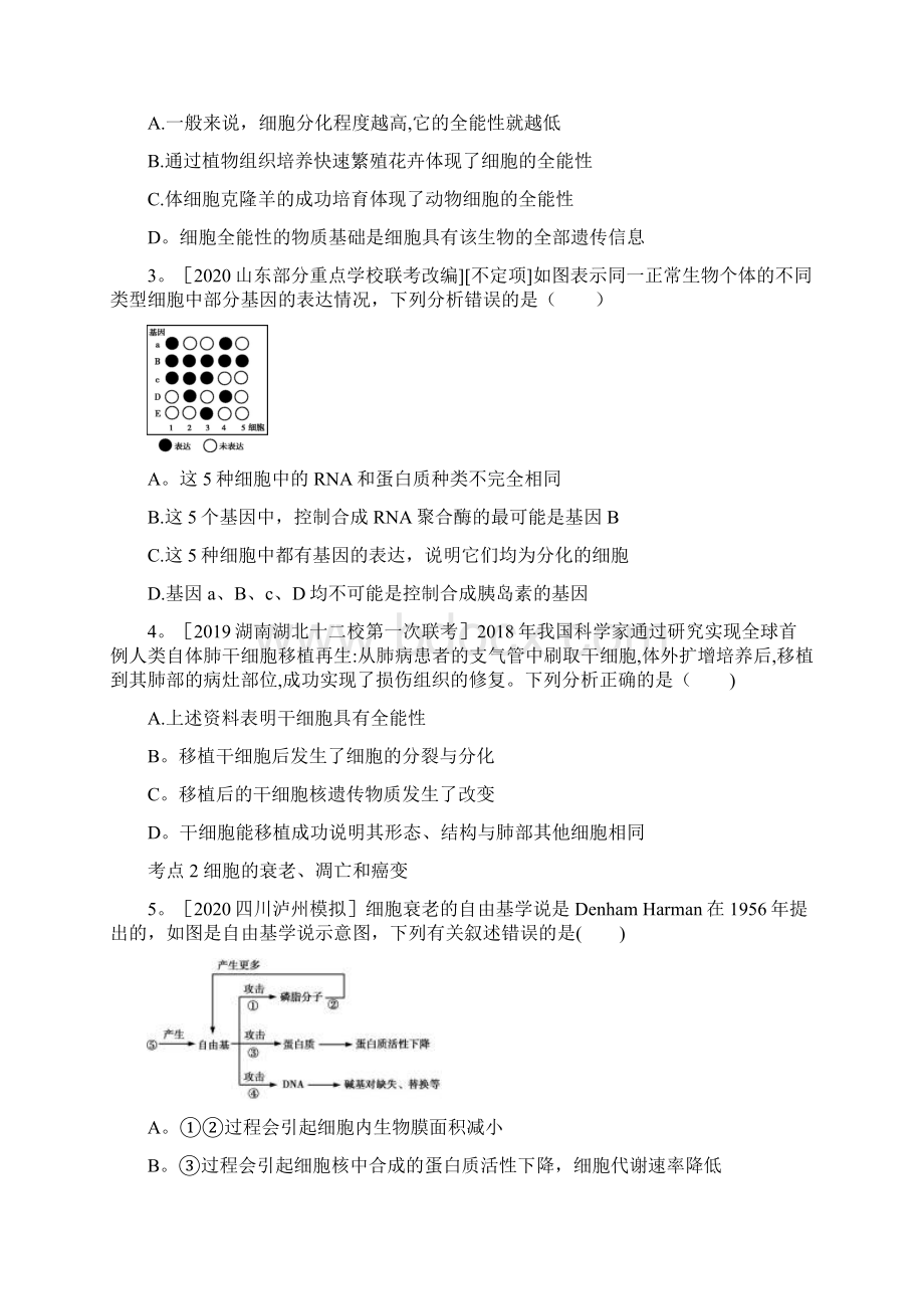 高考生物新高考版一轮复习考点考法精练第三单元 专题八 细胞的分化衰老凋亡和癌变.docx_第2页