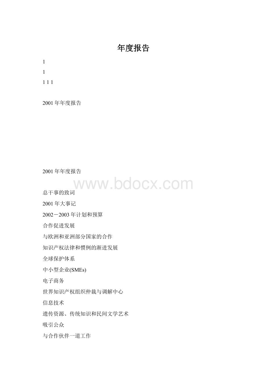 年度报告.docx