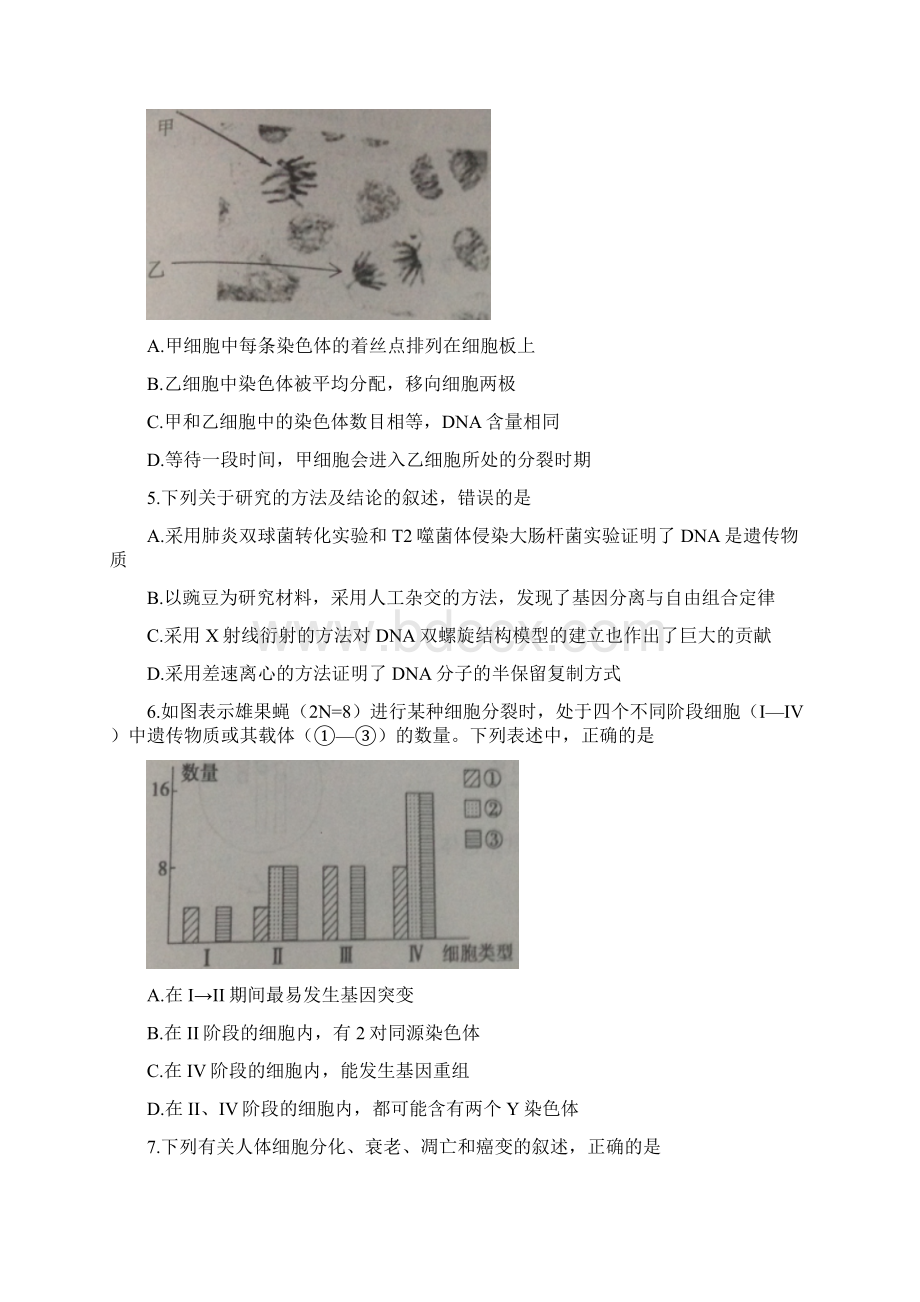 江苏省苏州市届高三上学期期初调研生物试题.docx_第2页