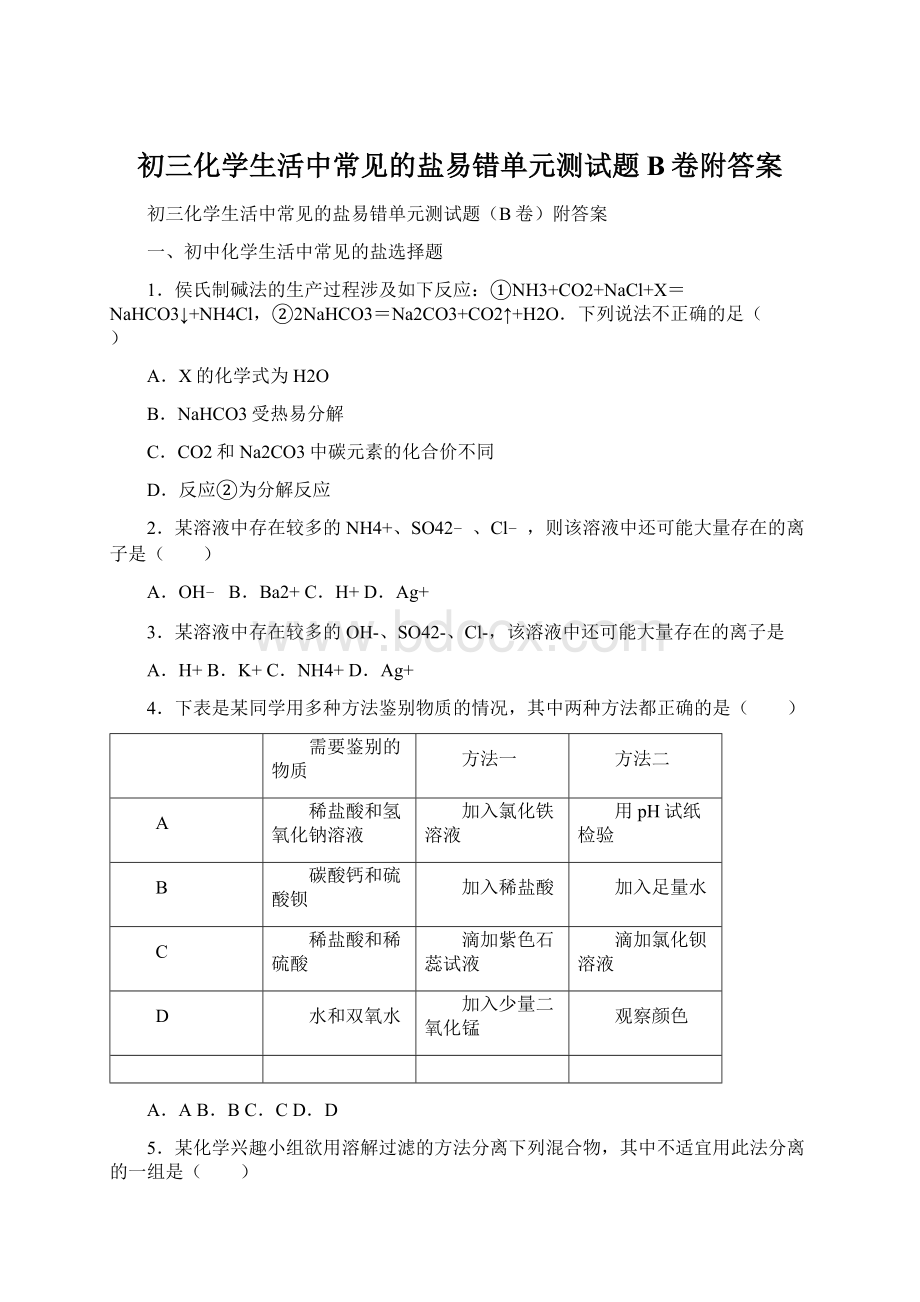 初三化学生活中常见的盐易错单元测试题B卷附答案.docx