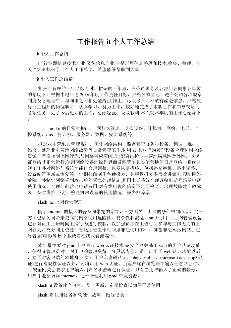 工作报告 it个人工作总结文档格式.docx