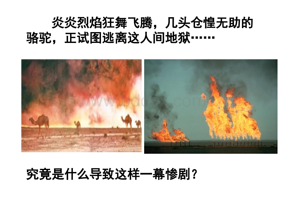 海湾战争.ppt_第3页