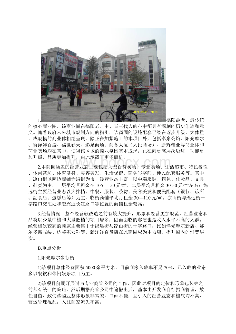 德阳商业市调报告及相关数据.docx_第2页