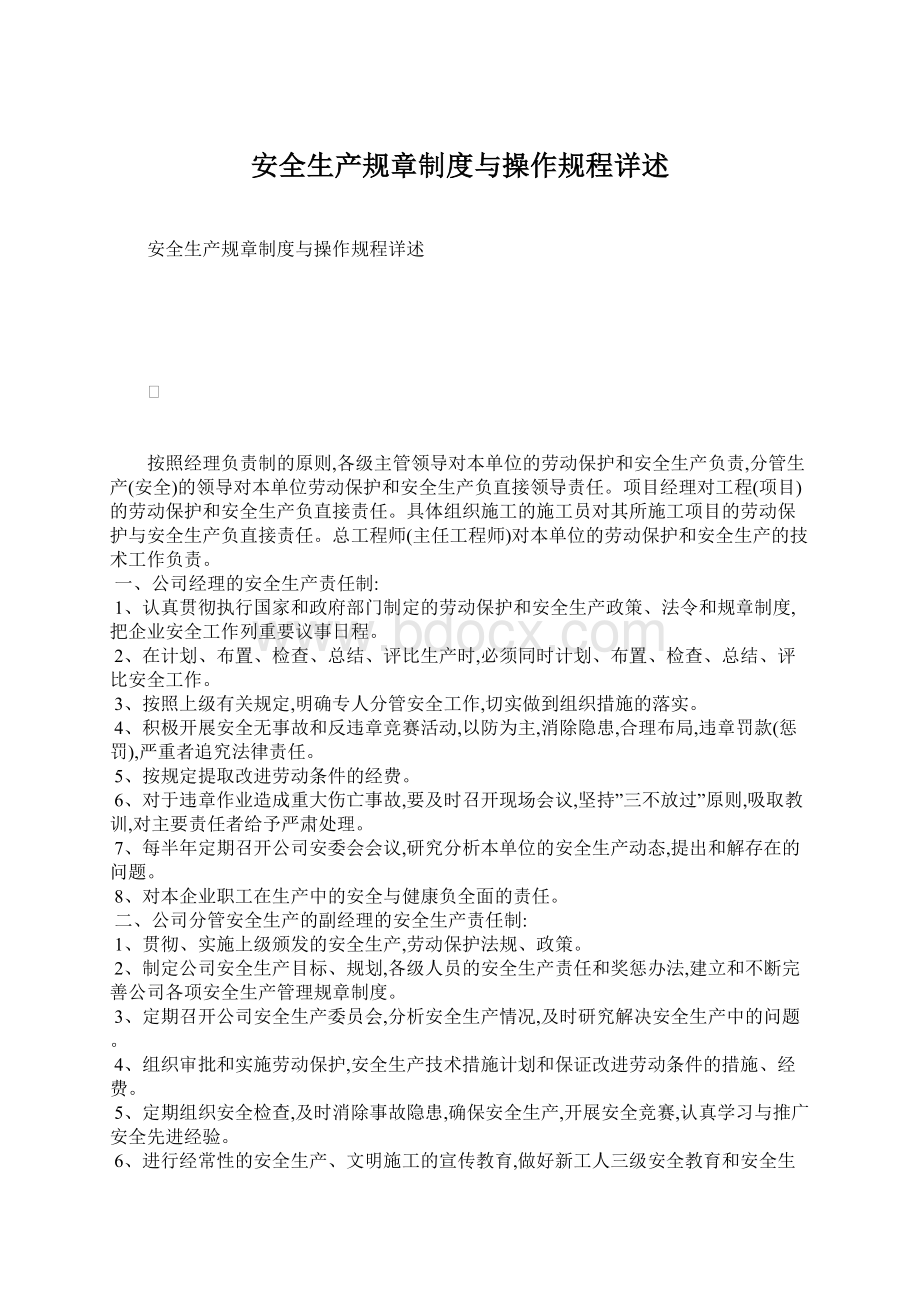 安全生产规章制度与操作规程详述文档格式.docx