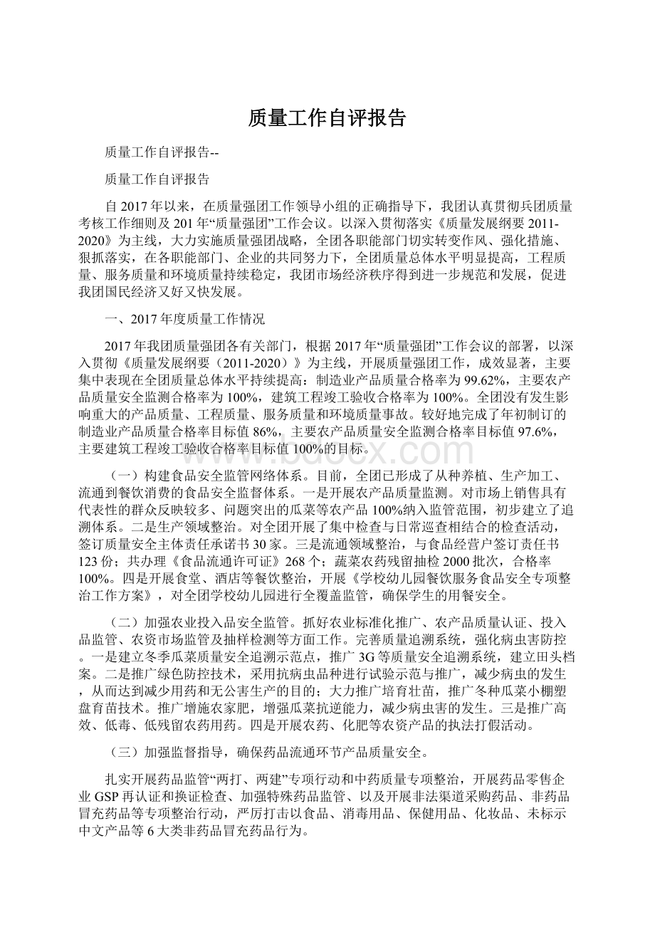 质量工作自评报告文档格式.docx