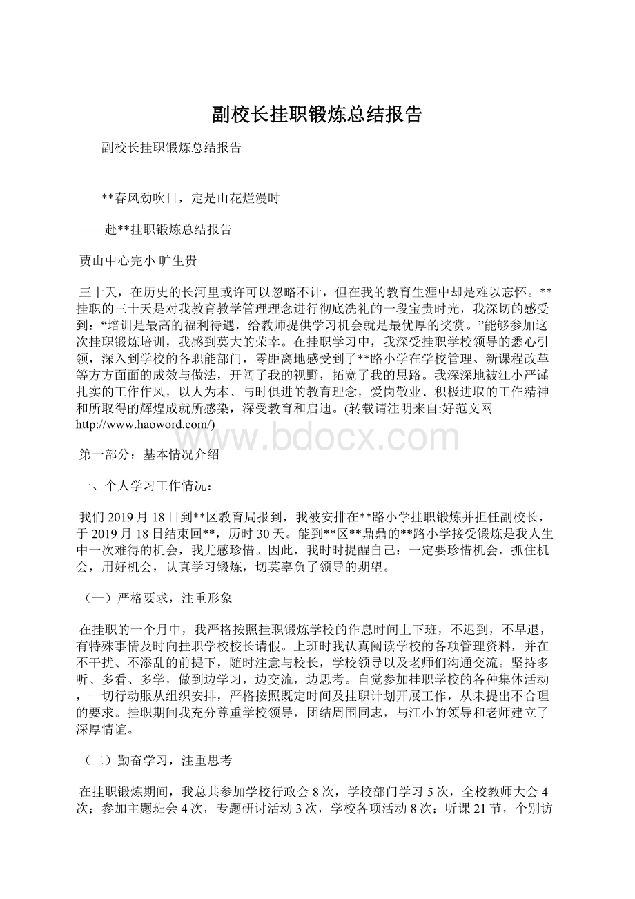 副校长挂职锻炼总结报告文档格式.docx