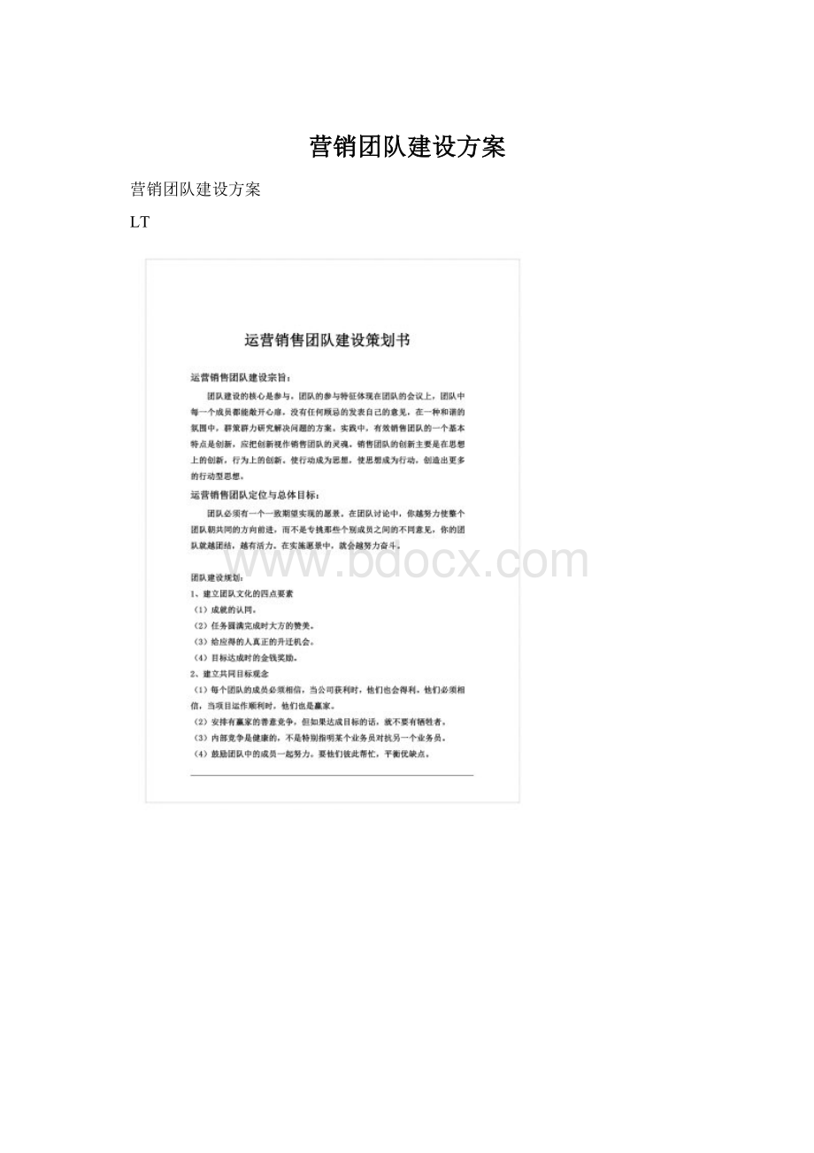 营销团队建设方案.docx_第1页