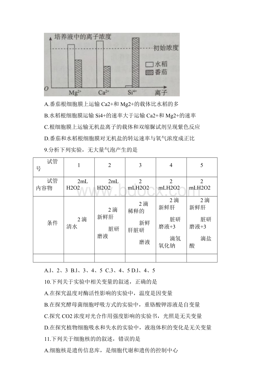 届河北省沧州市普通高中高三教学质量监测生物试题Word文件下载.docx_第3页