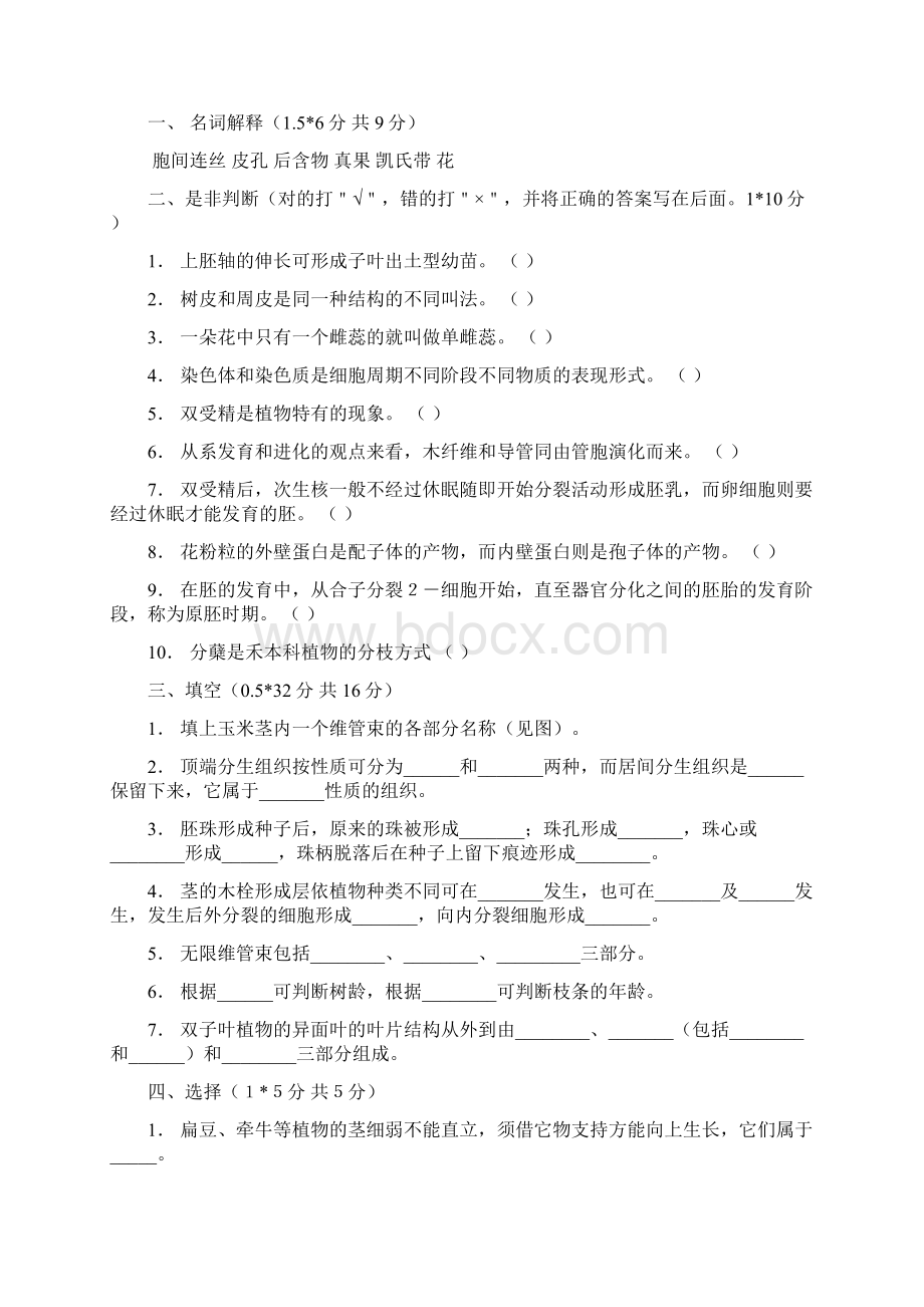 植物形态解剖学试题.docx_第3页