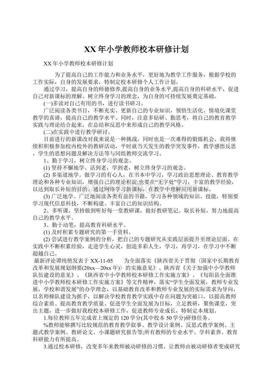 XX年小学教师校本研修计划Word文档格式.docx