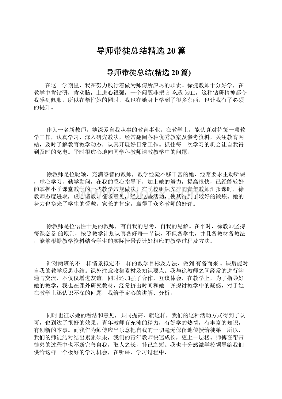 导师带徒总结精选20篇文档格式.docx