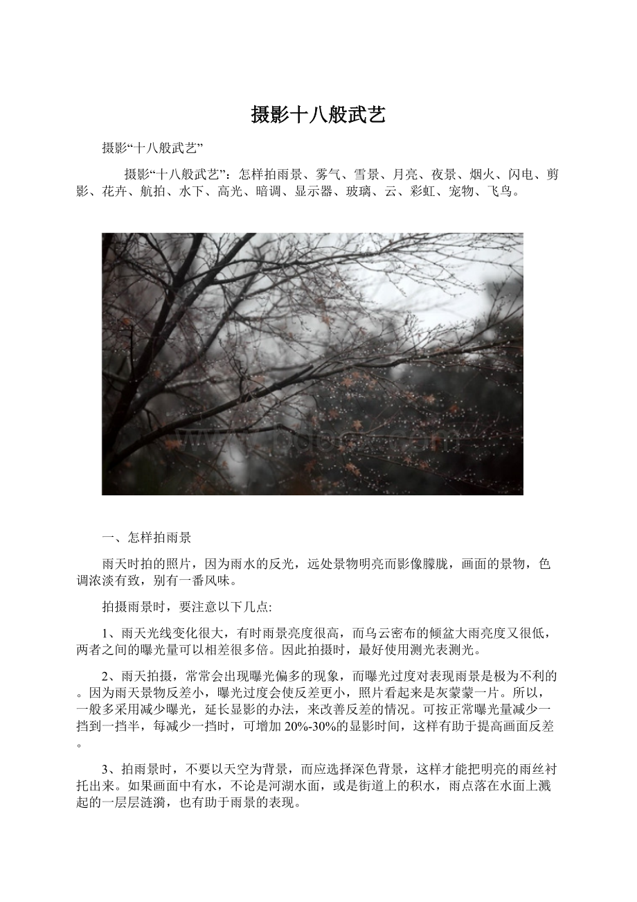 摄影十八般武艺Word格式文档下载.docx