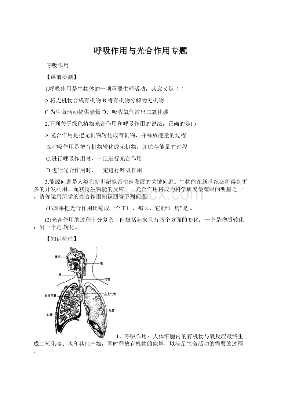 呼吸作用与光合作用专题Word文档下载推荐.docx