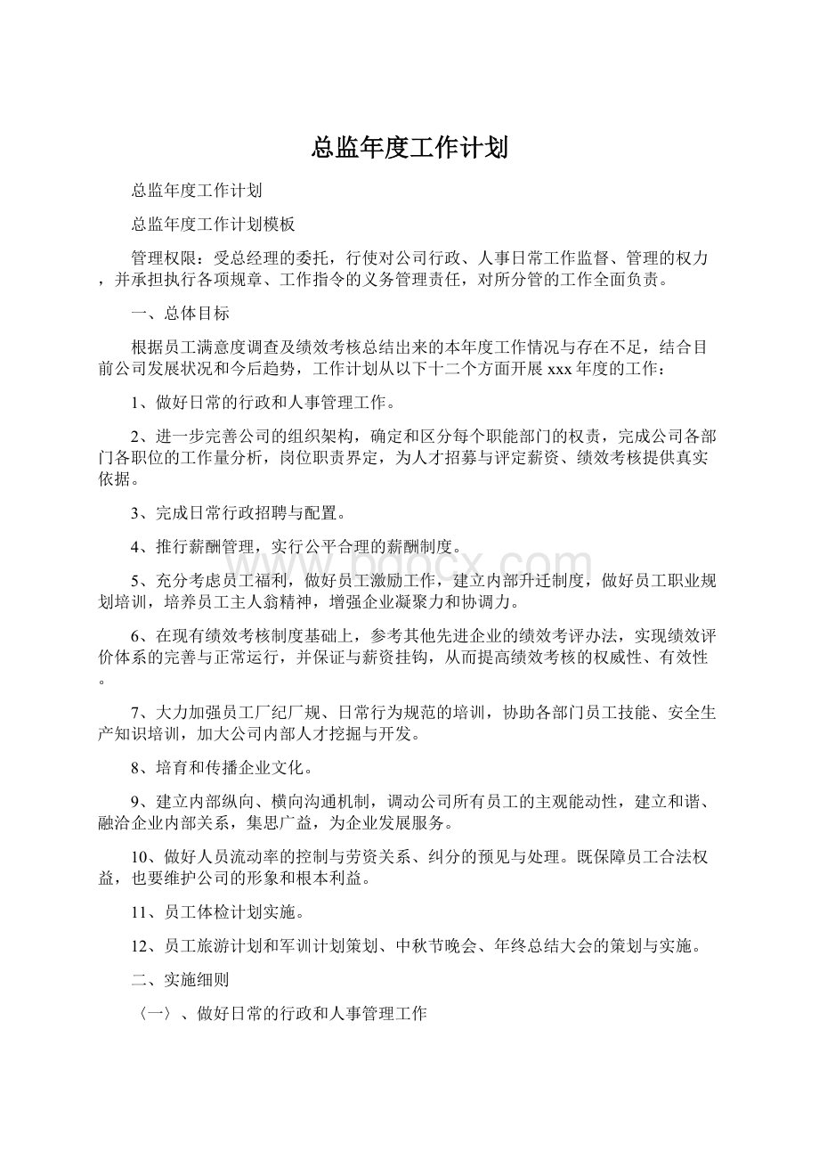 总监年度工作计划.docx