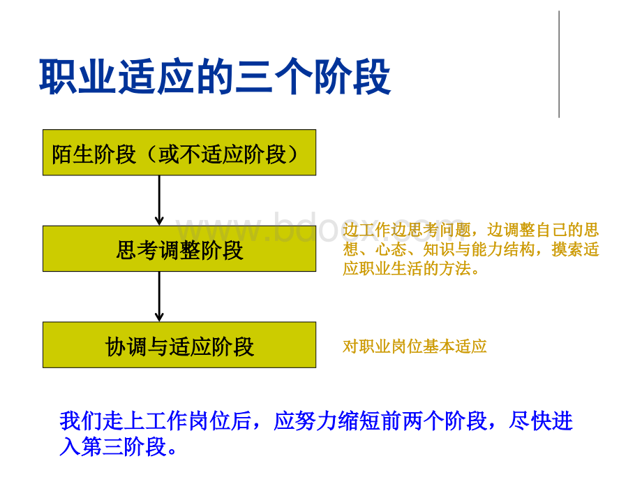 职业适应的三个阶段.ppt_第1页