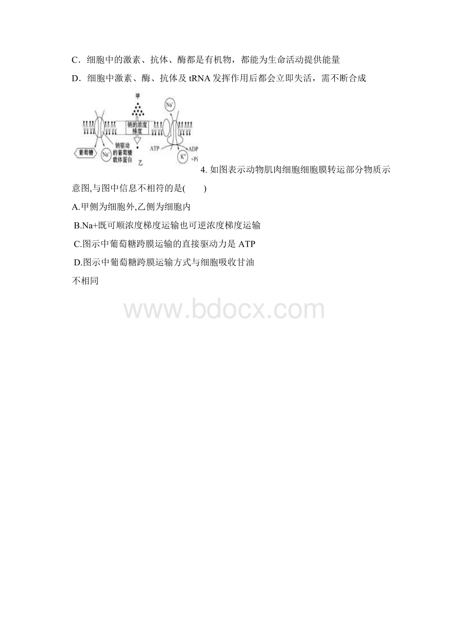 河北省邯郸市届高三上学期质检考试生物试题Word下载.docx_第2页