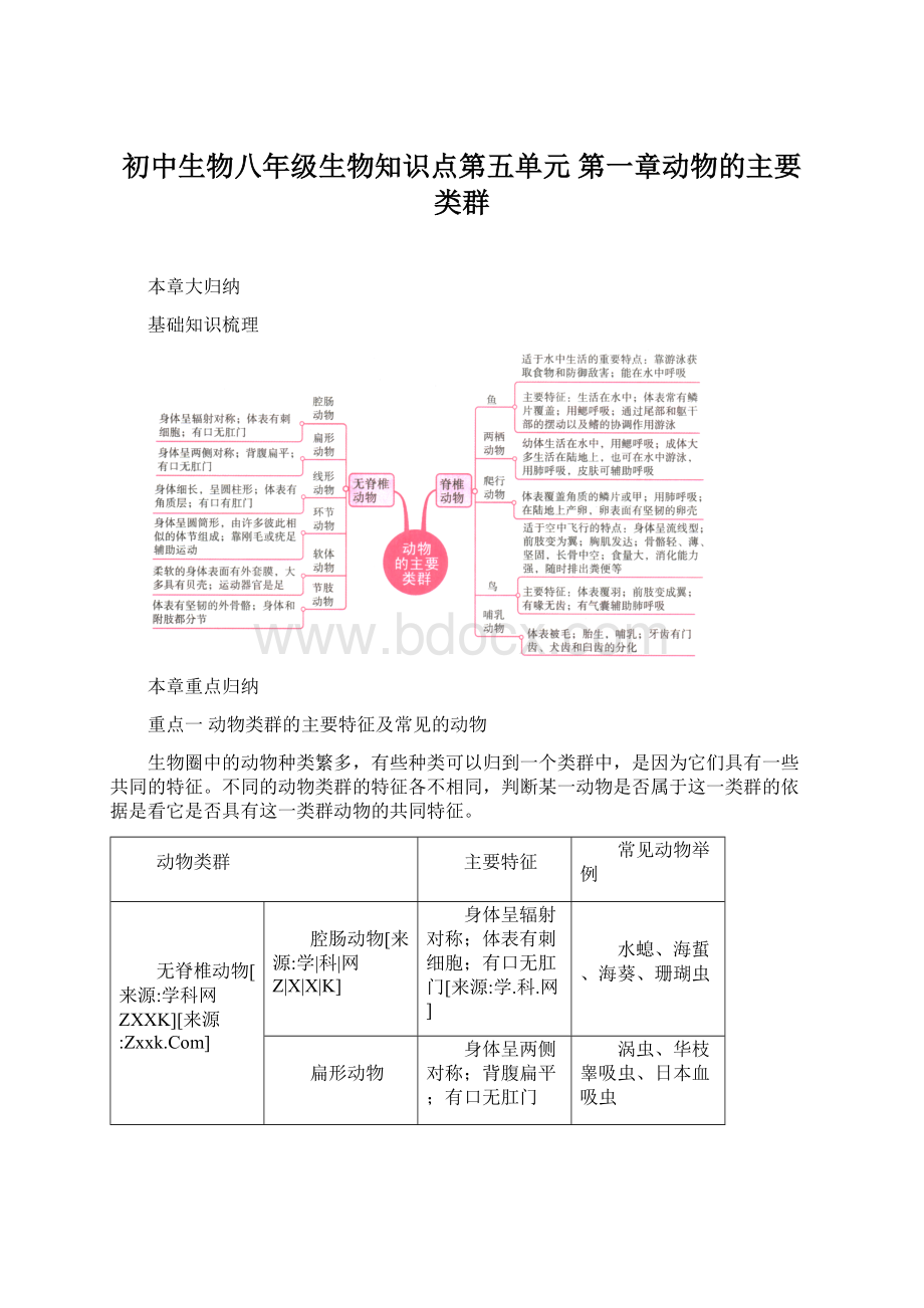 初中生物八年级生物知识点第五单元 第一章动物的主要类群Word格式文档下载.docx