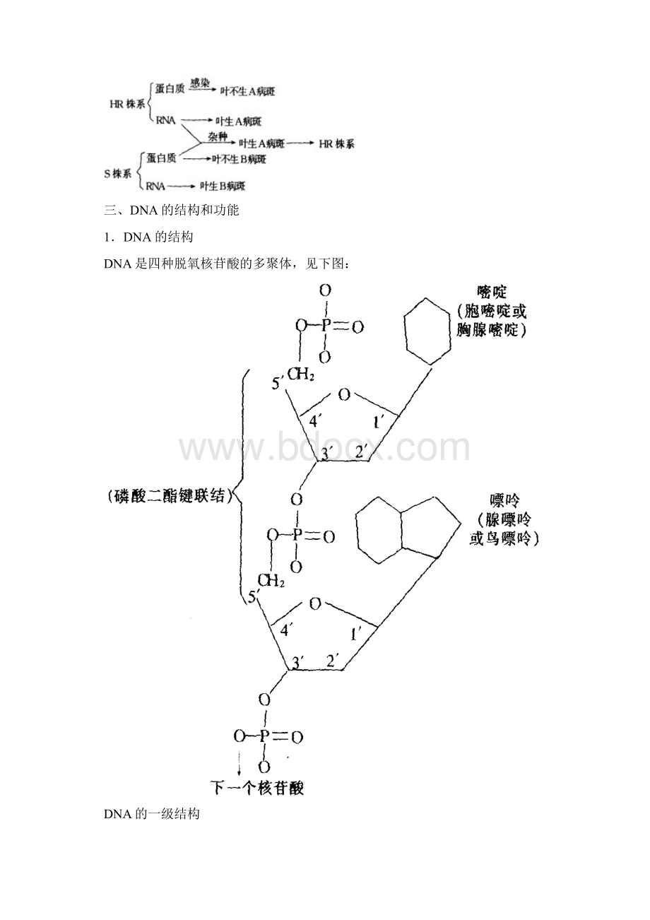 第六章遗传和变异生物竞赛Word格式文档下载.docx_第2页