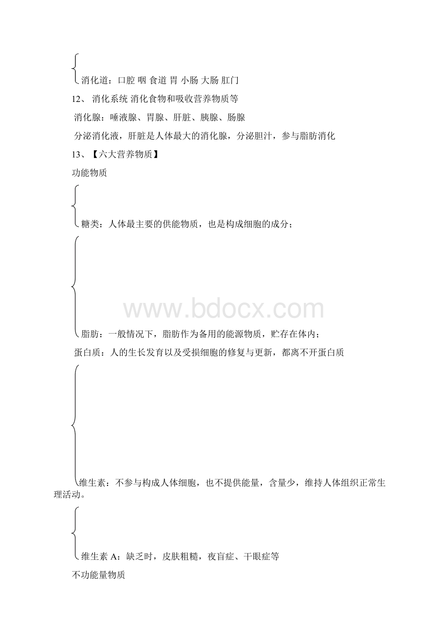 人教版七年级下册生物学考试复习提纲Word文档格式.docx_第3页