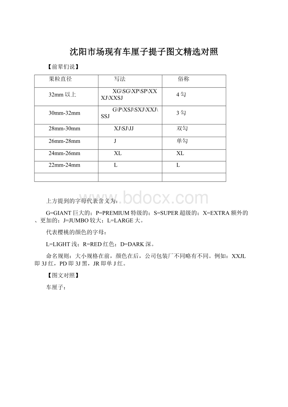 沈阳市场现有车厘子提子图文精选对照Word文件下载.docx