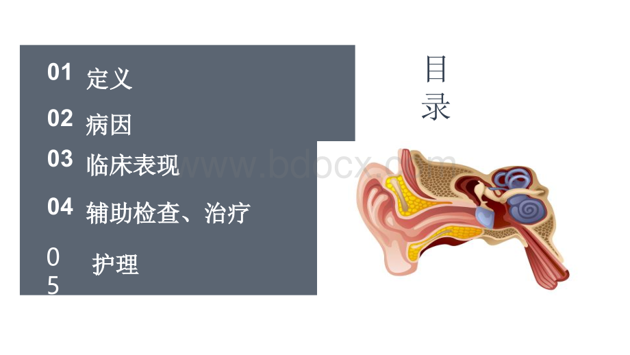 突发性耳聋PPT.pptx_第3页