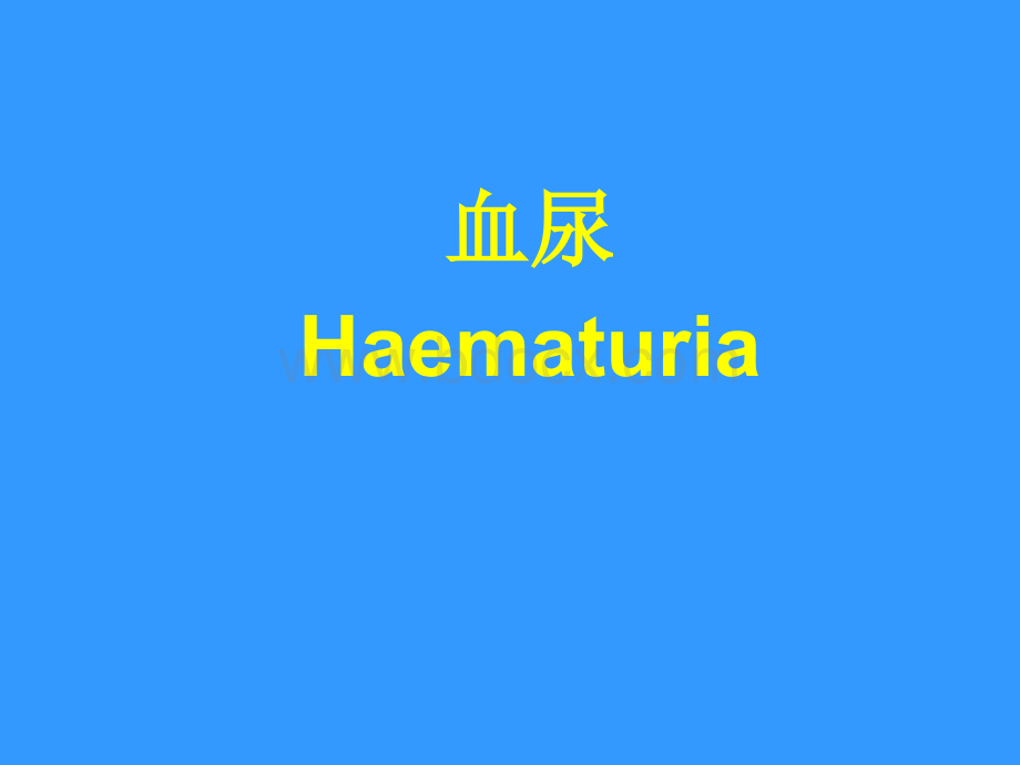 血尿HaematuriaPPT文件格式下载.ppt