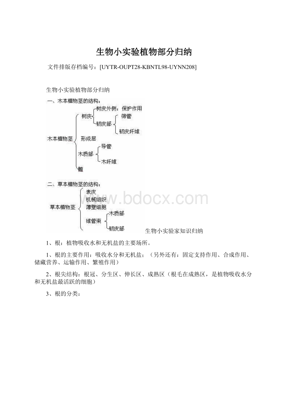 生物小实验植物部分归纳文档格式.docx