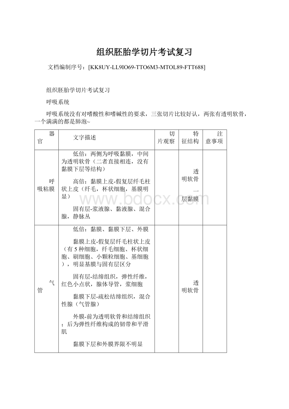 组织胚胎学切片考试复习Word格式文档下载.docx