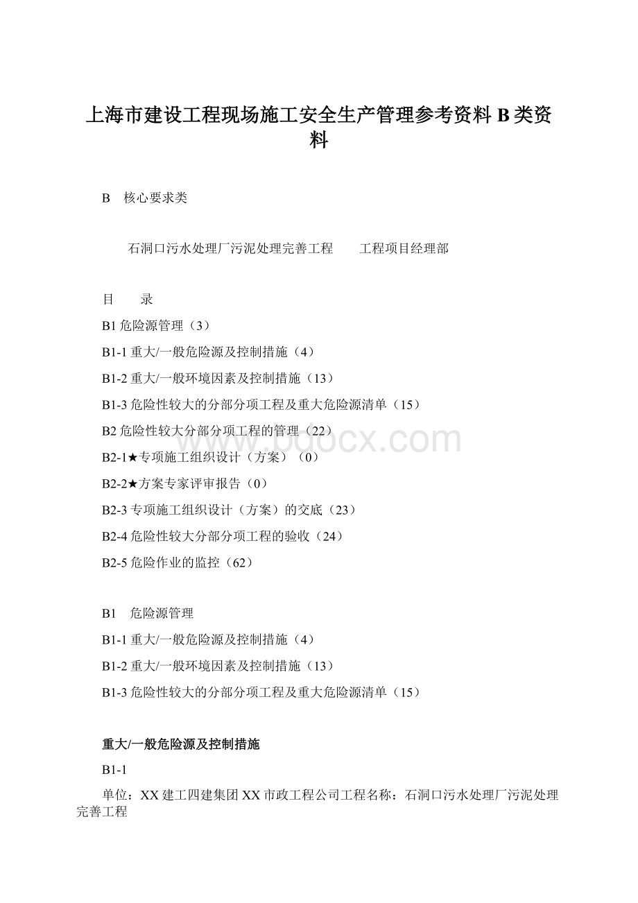 上海市建设工程现场施工安全生产管理参考资料B类资料.docx