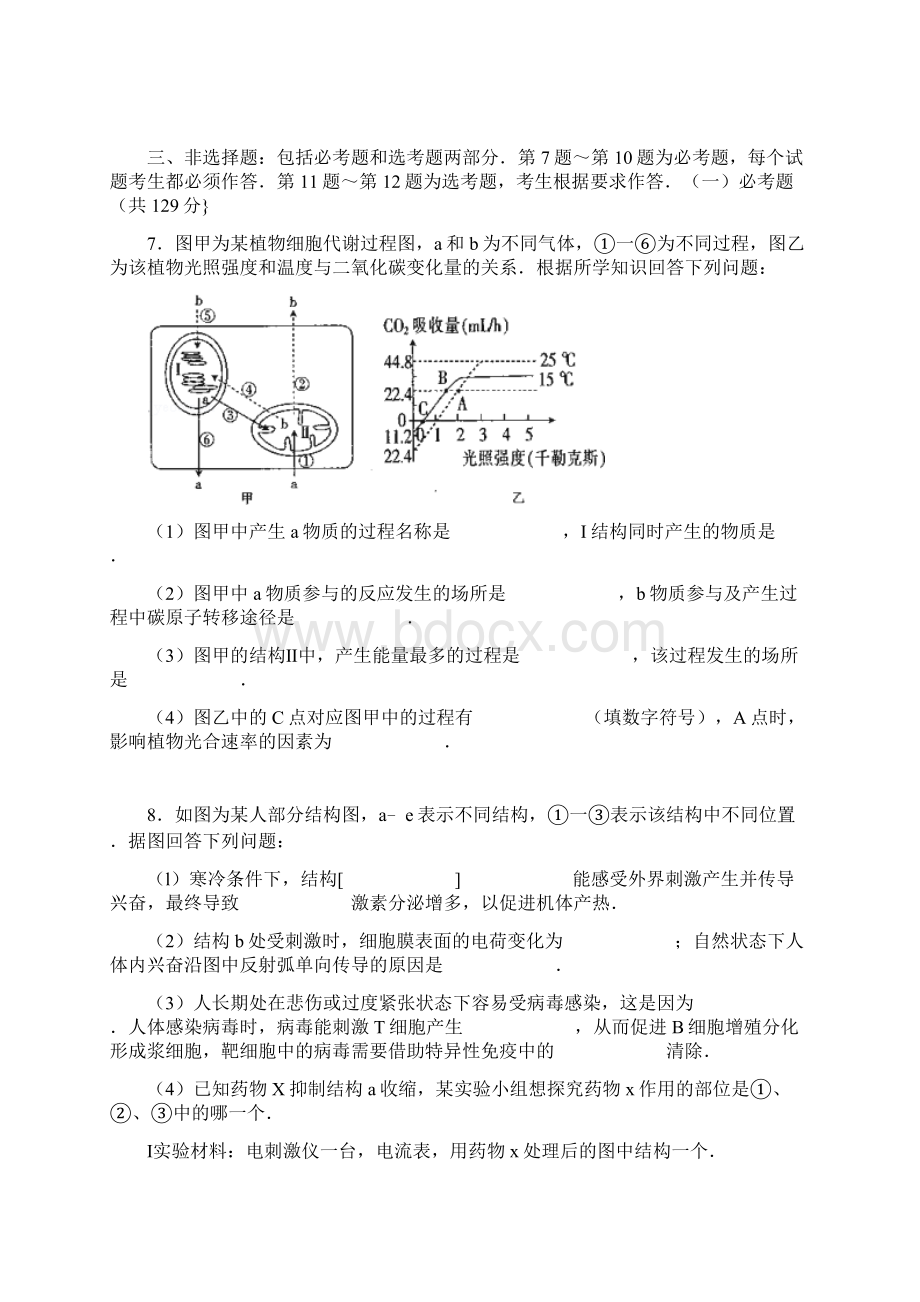 人教版河北省衡水市点睛金榜大联考学年下学期高三生物第二次月考word解析版.docx_第3页