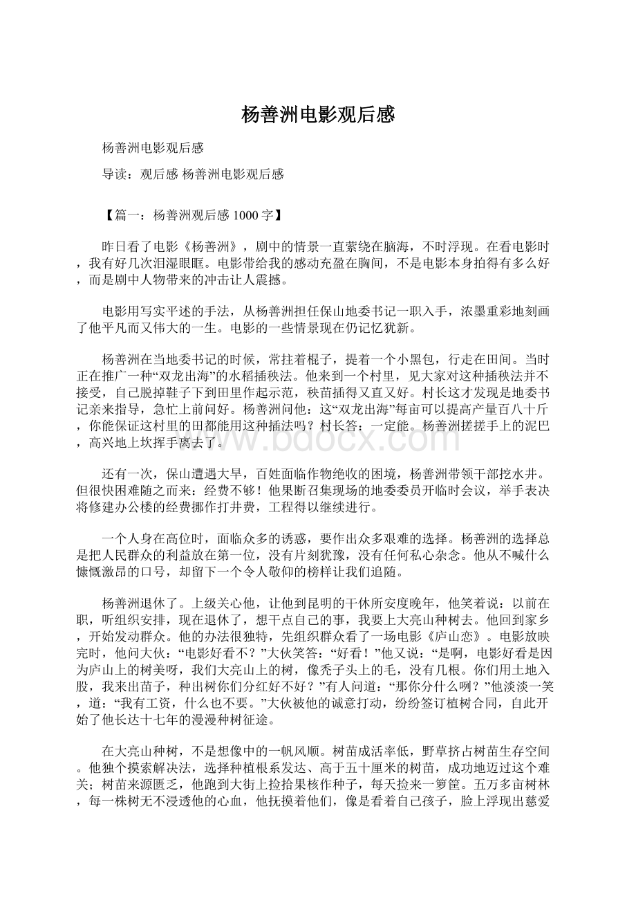 杨善洲电影观后感文档格式.docx_第1页