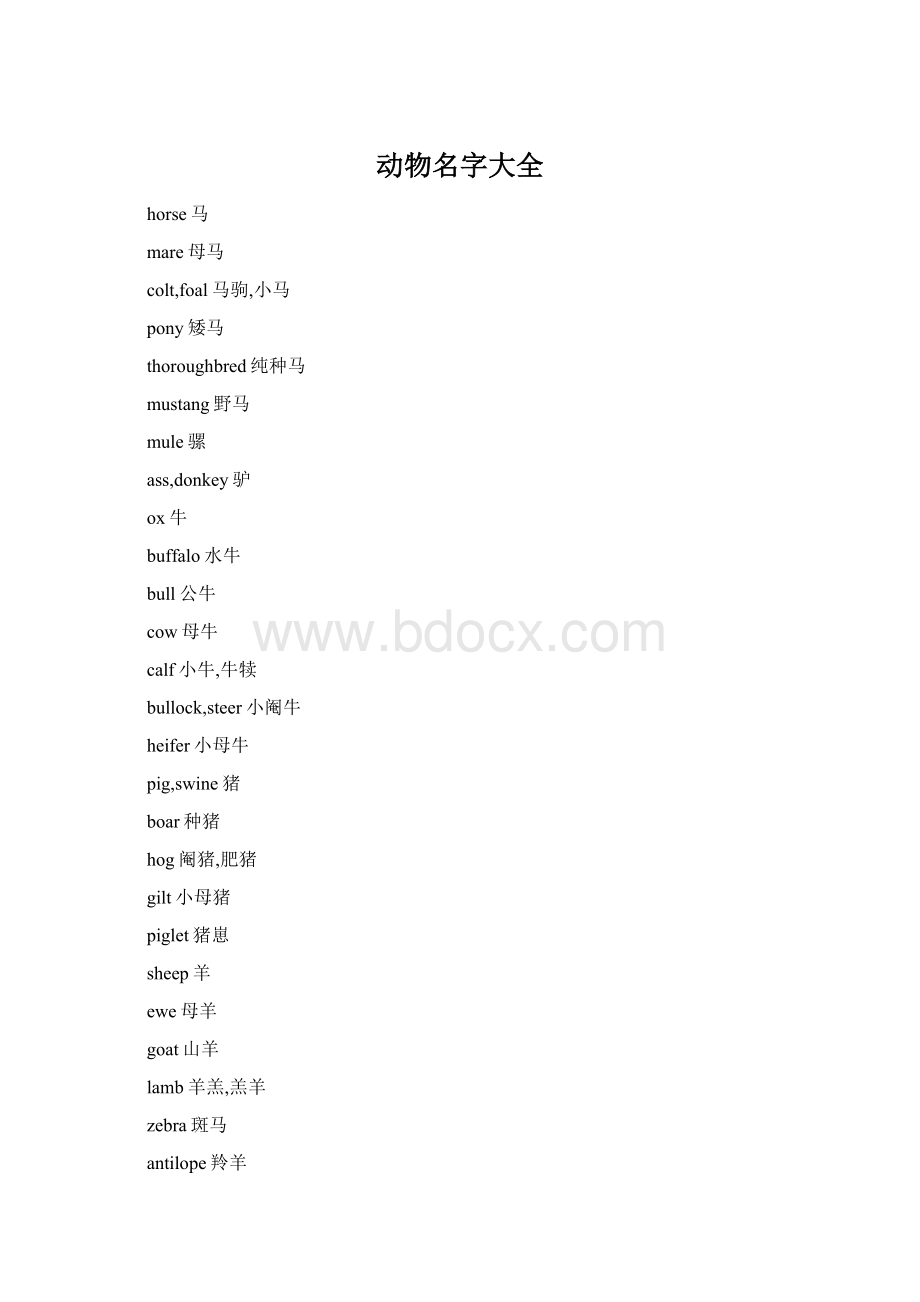 动物名字大全.docx_第1页
