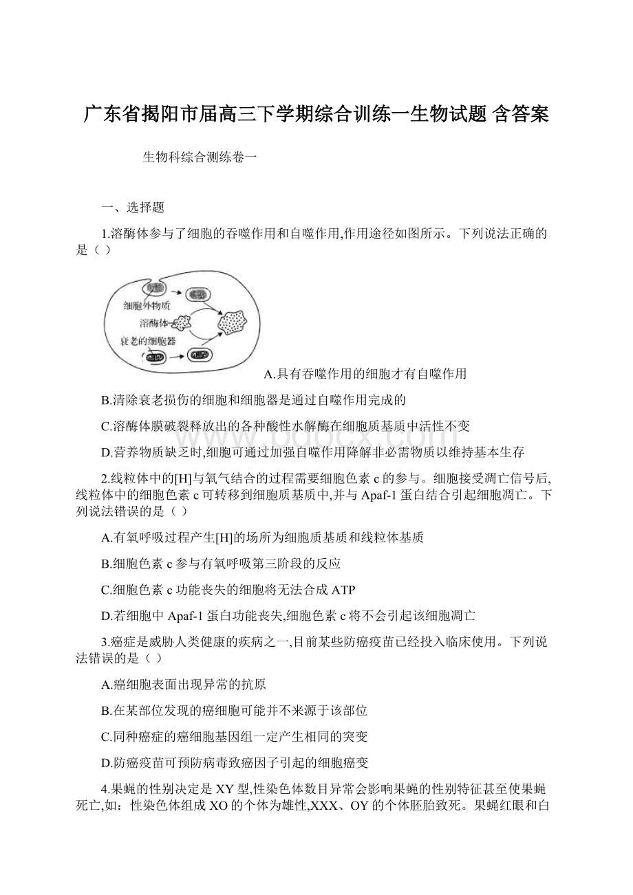 广东省揭阳市届高三下学期综合训练一生物试题 含答案.docx_第1页