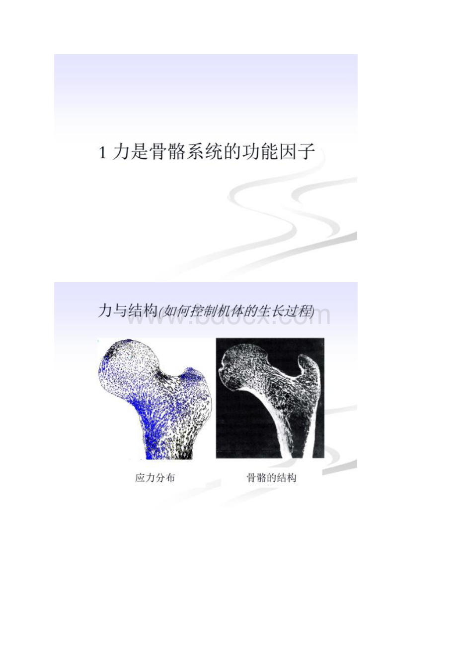 生物医学工程概论第四章生物力学Word文档下载推荐.docx_第2页