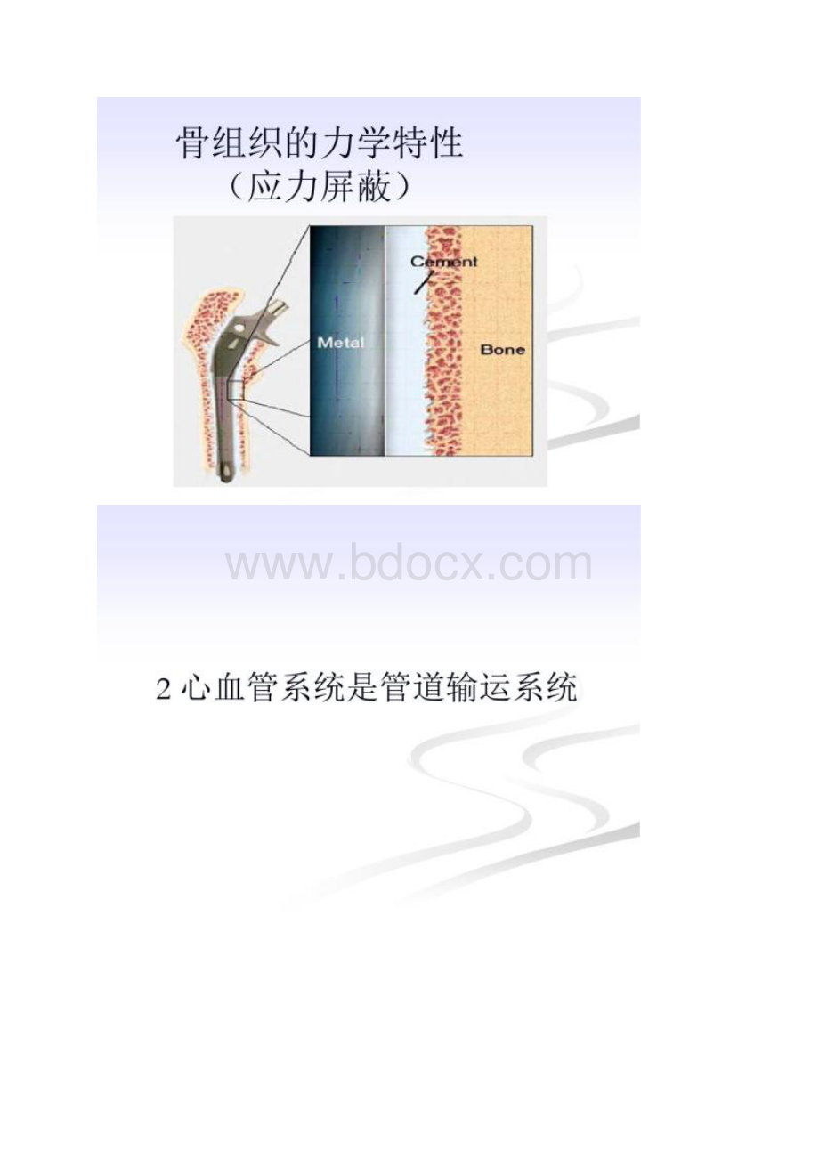 生物医学工程概论第四章生物力学Word文档下载推荐.docx_第3页