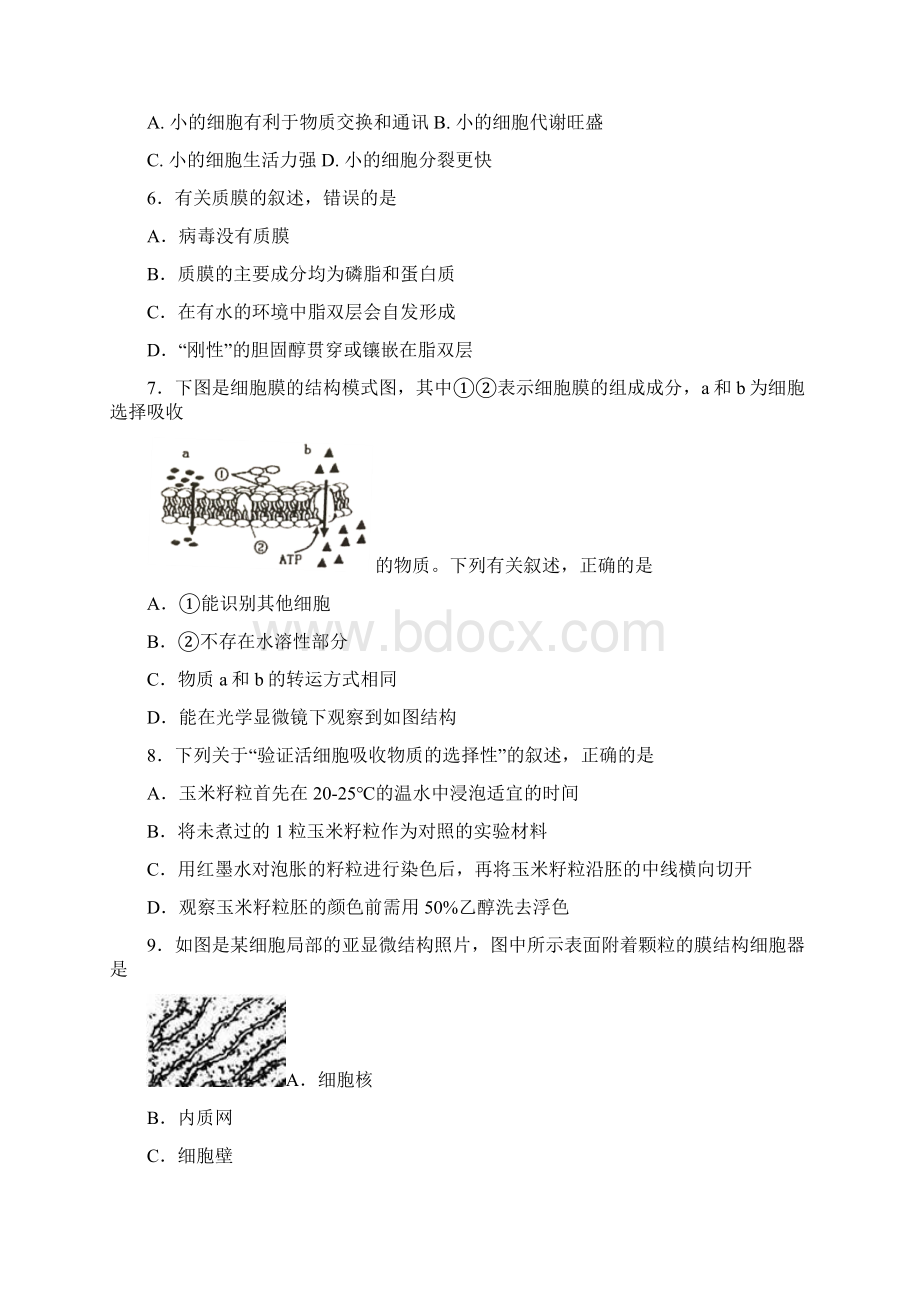 浙江省桐乡市凤鸣高级中学学年高一生物下学期期中试题含答案文档格式.docx_第2页