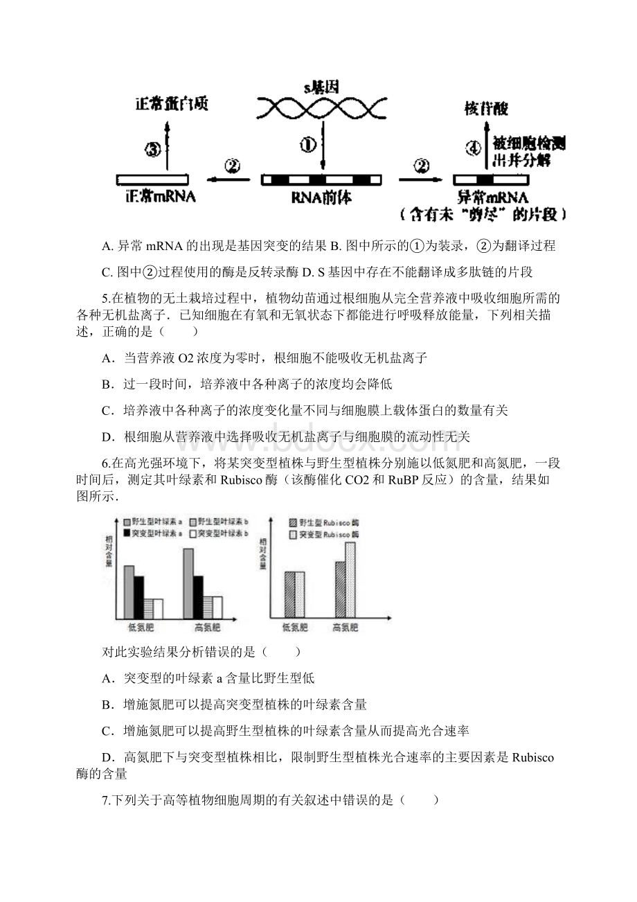 山东省枣庄八中北校届高三份阶段性自测生物试题Word文档下载推荐.docx_第2页