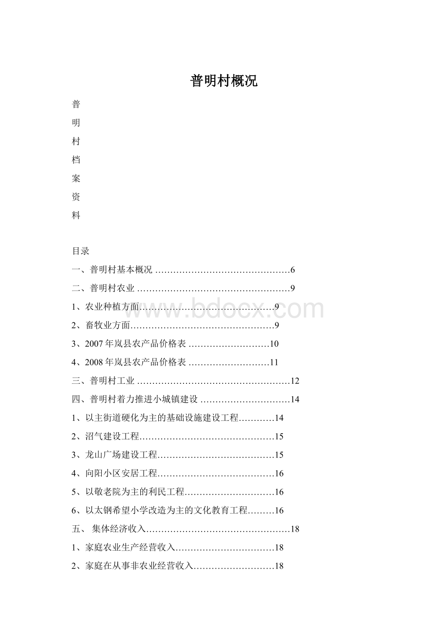 普明村概况Word文档下载推荐.docx