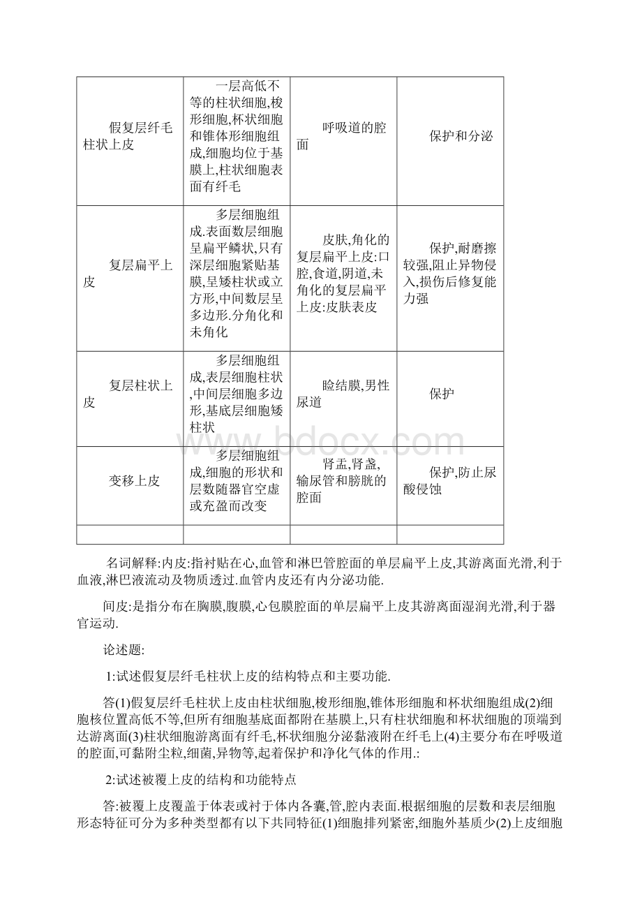 组织学与胚胎学复习资料.docx_第2页