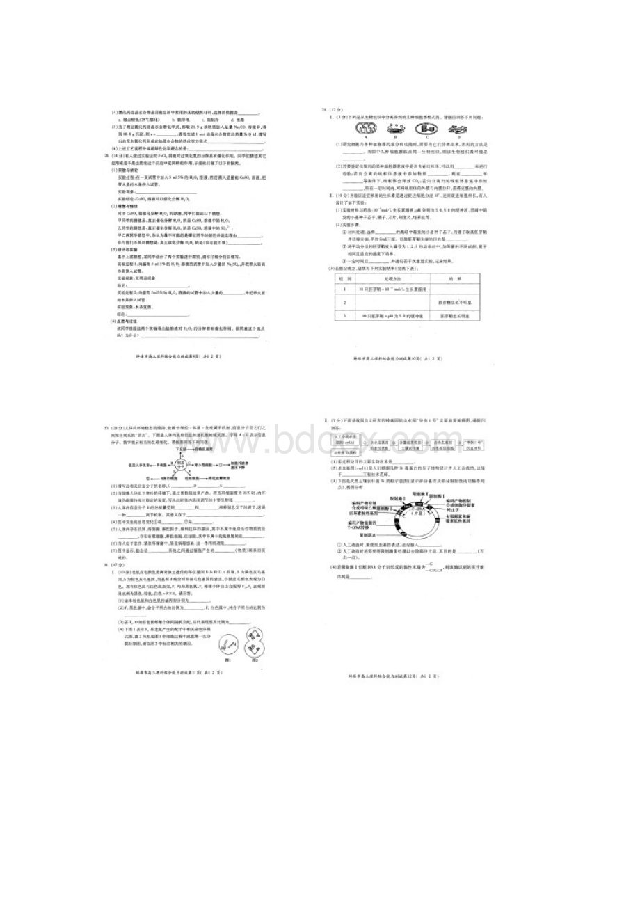 安徽蚌埠届高三第二次质检考试理综Word文档格式.docx_第3页