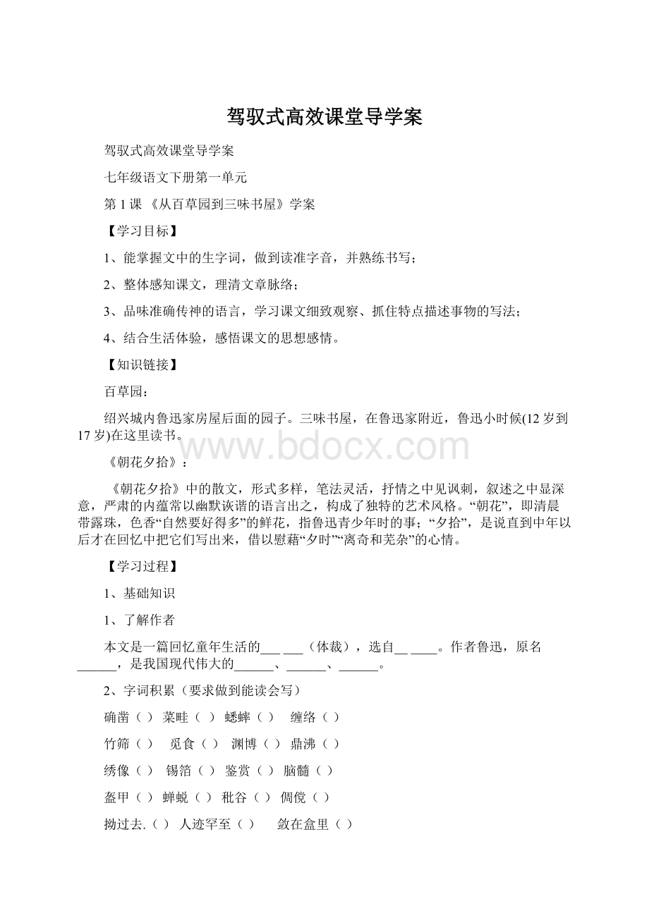 驾驭式高效课堂导学案Word格式.docx