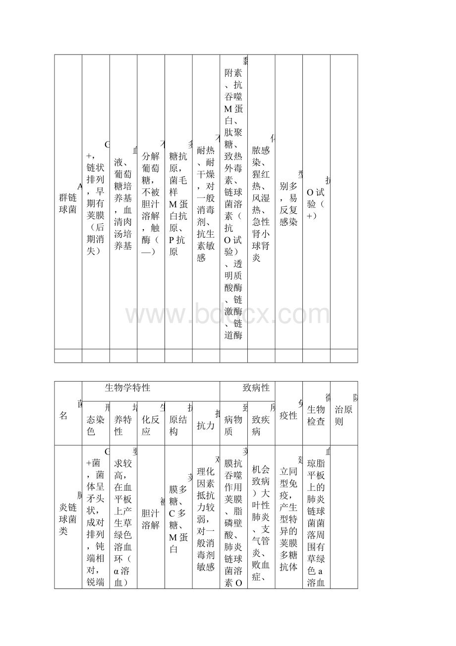 微生物细菌总结材料表格.docx_第2页