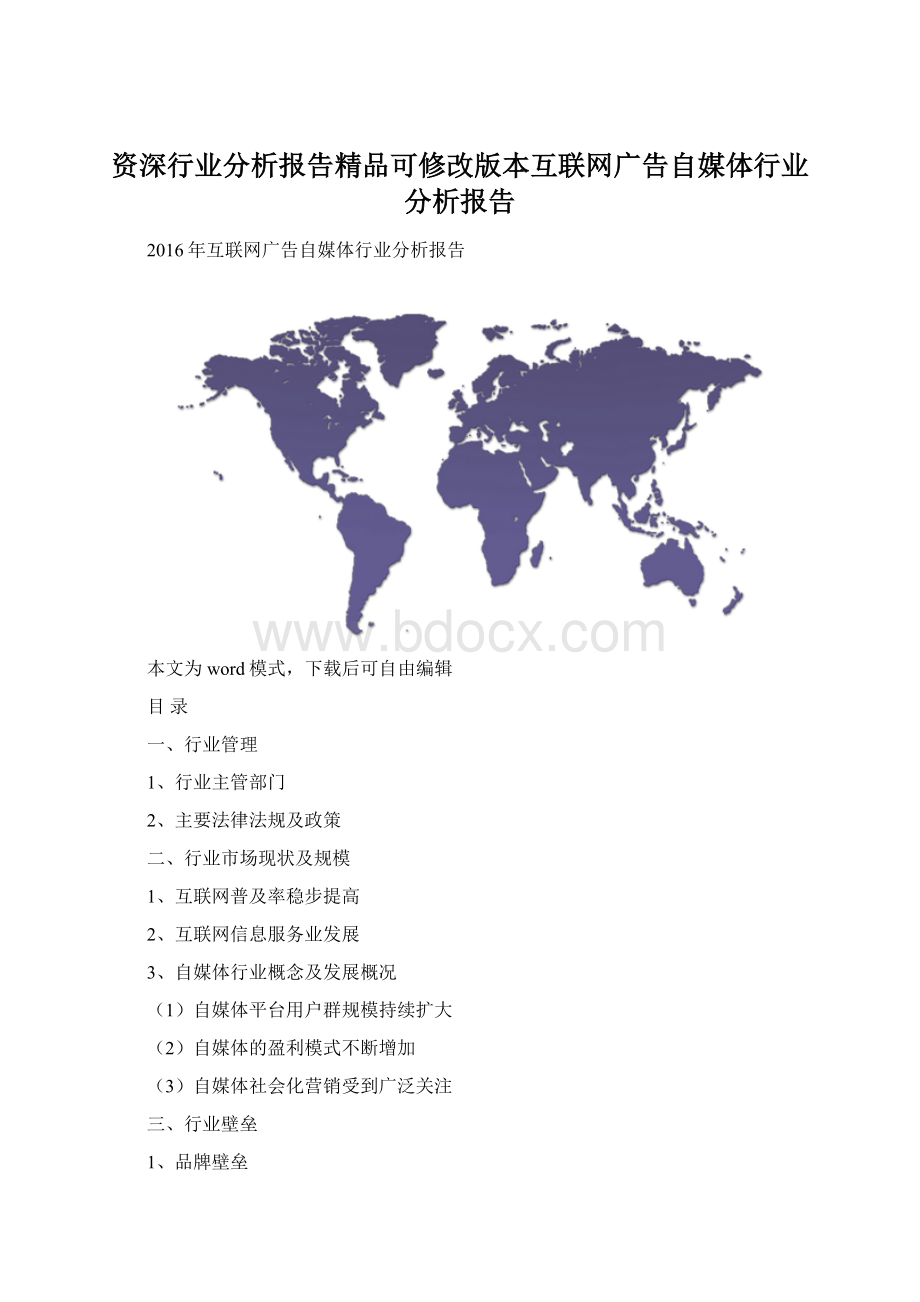 资深行业分析报告精品可修改版本互联网广告自媒体行业分析报告Word下载.docx