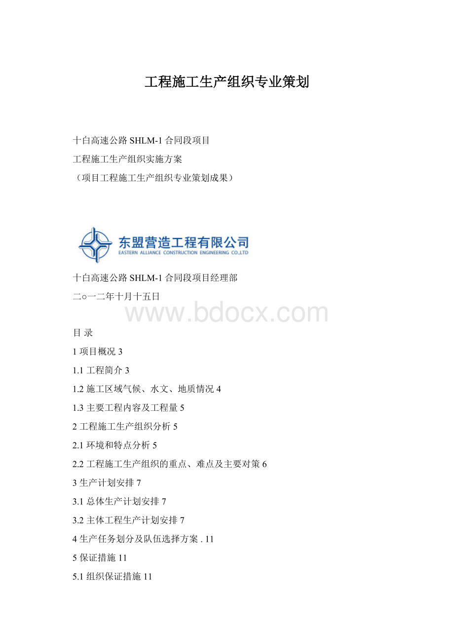 工程施工生产组织专业策划文档格式.docx