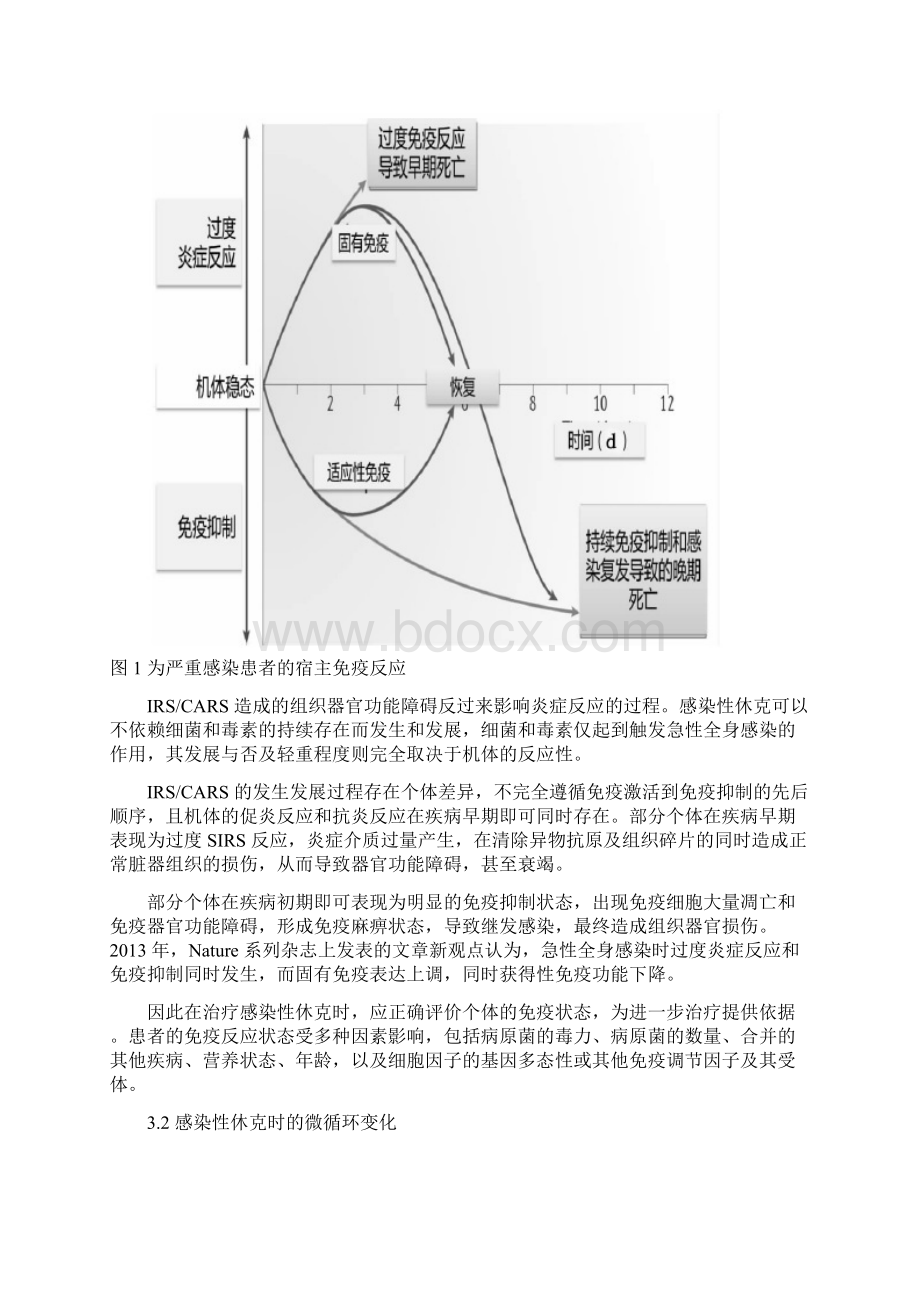 中国急诊感染性休克临床实践指南.docx_第3页