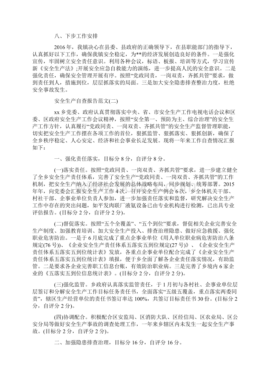 安全生产自查报告精选.docx_第3页