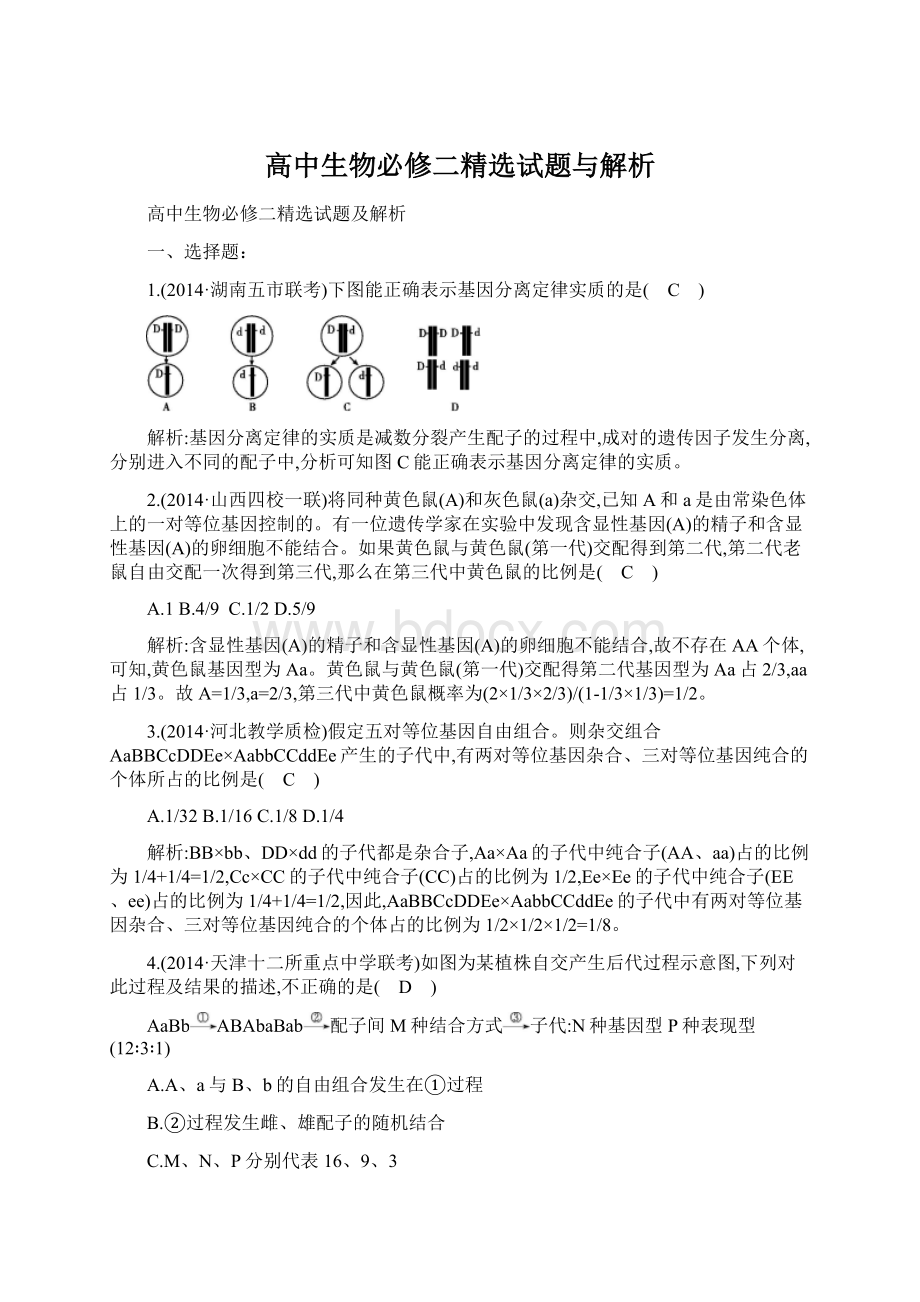 高中生物必修二精选试题与解析.docx